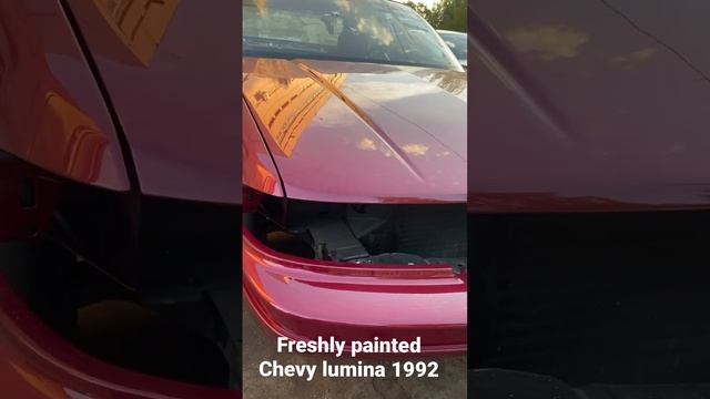 Freshly Painted Chevrolet Lumina 1992