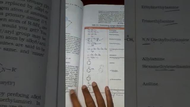 Class 12  Amines In Tamil #chemistrybyvalli