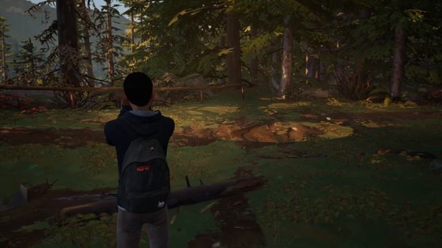 ПРИЯТНАЯ ДОРОГА... ПРОХОЖДЕИЯ  Life Is Strange 2