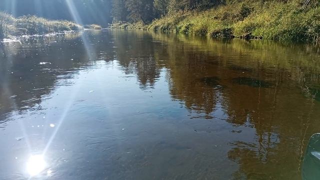 Сплав по реке Осуга.