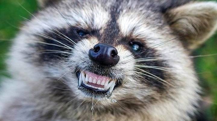 Albion Online 2024.12.27 