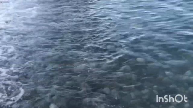 Лазаревское,Сочи, 6 утра 21 июля 2024 .. пляж с маяка ,море чистое,теплое…