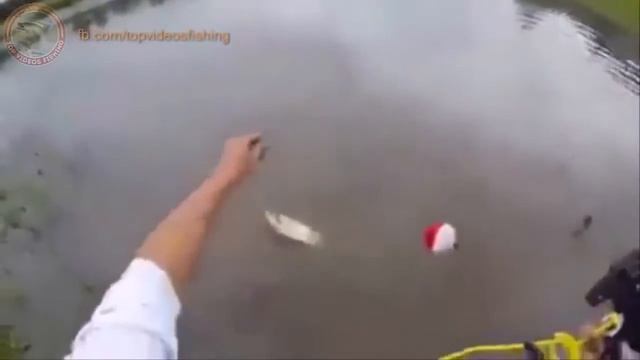 НЕТРАДИЦИОННАЯ РЫБАЛКА