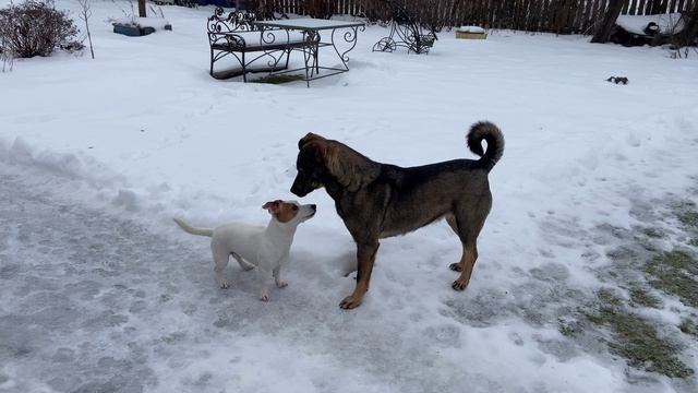 Клип Дейзи