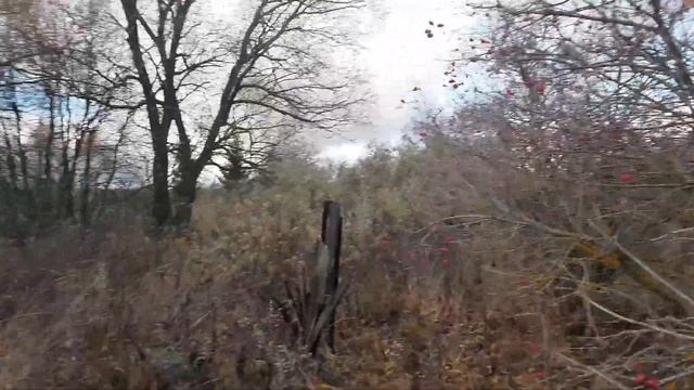 дом где жила моя прабабка