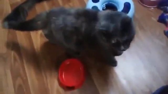 C46c05107c4db4a923f83d8daf72e9bc