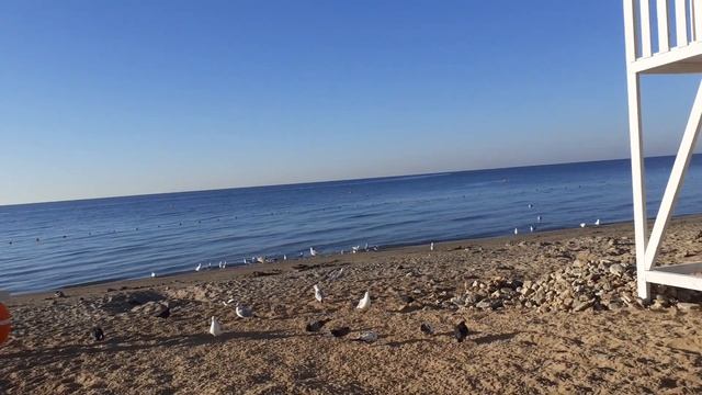 Жизненные ситуации. Как изгнать инкуба