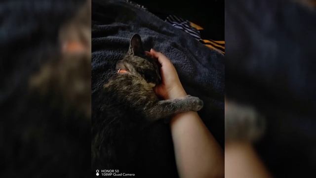 счастливый ребёнок ❤️ #дымка