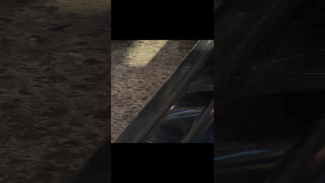 Хунчи H9 адаптация в процессе