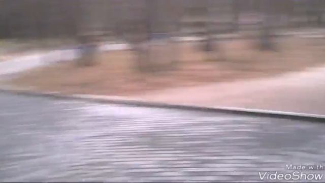 Парк 
