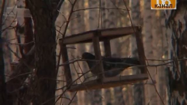 Возродим городской парк