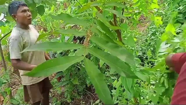 1fc5c197d581837fbae98dd1795107ed