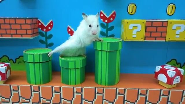 6ebe4becc328b3b77a3b1ce453055b43