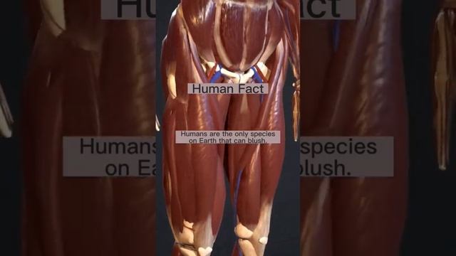 Who Makes You Blush?