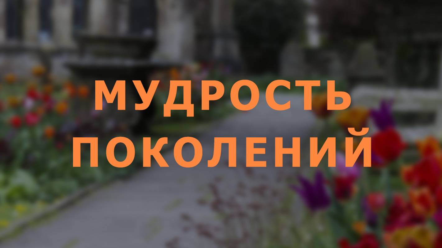 Мудрость поколений. Сеанс регрессии