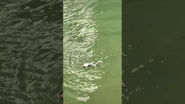 1989636f2e3c7e9aa55769b5519ec8e2