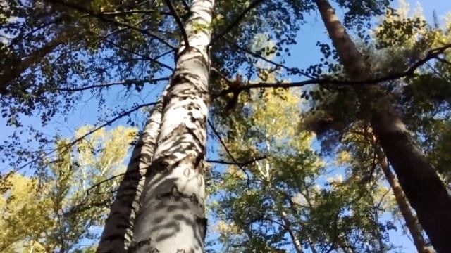 Песня на стихи Бориса Пастернака 