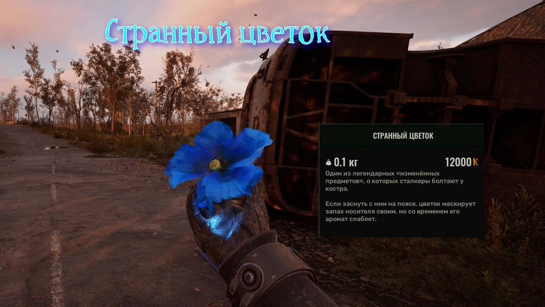 S.T.A.L.K.E.R. 2 Аномалия маковое поле артефакт Странный цветок +бонус поиск иконы
