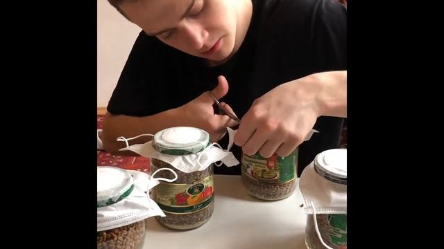 D50793911dfaa3556ec5bc5696b44988