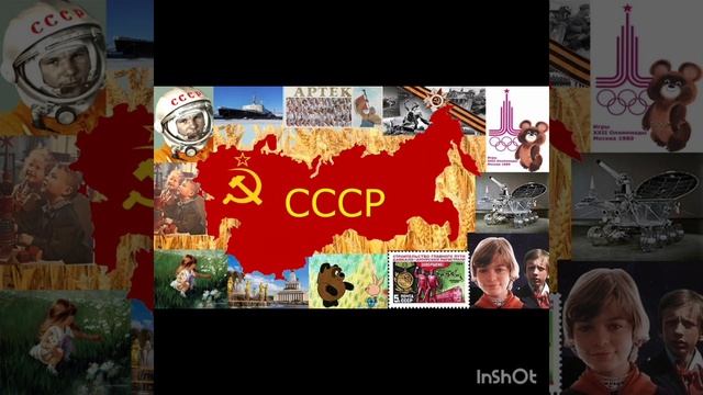 InShot_20241229_185903088.mp4