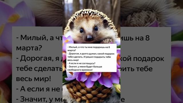 B329c5301a5922ff3fe268bc9954c05a