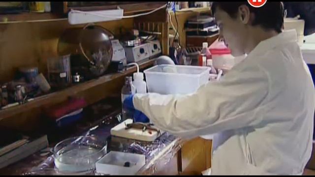 Наука 2 0 ДОГОВОР С КРОВЬЮ 2