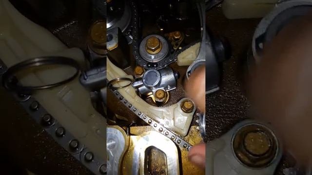 Cambio Cadena Distribución Captiva Sport