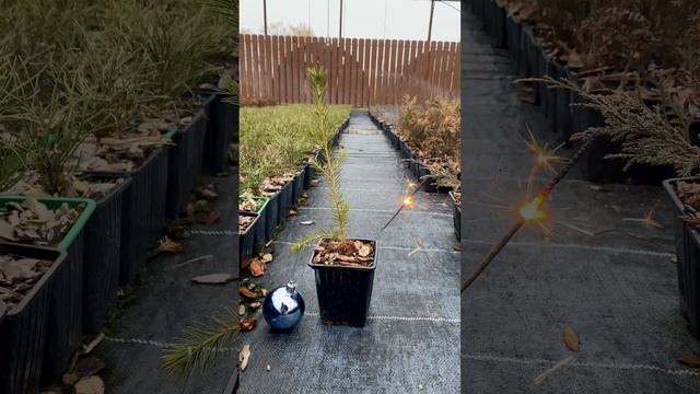 С Новым годом 🍾🎈🎊🎄🎁