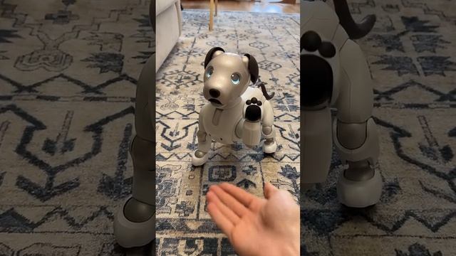 Они захватят этот мир🗿