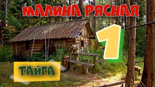 СЕРИАЛ МАЛИНА в ТАЙГЕ ВСЕ СЕРИИ СУДЬБА МАКАРЫЧА МЕДВЕДЬ ВОЛКИ ВОЛЧЬЯ СТАЯ ЖИВОТНЫЕ ЖИЗНЬ В ЛЕСУ