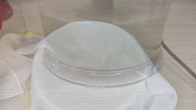 Köksüz Orkide Canlandırmak İçin Bu Yöntemi Deneyin