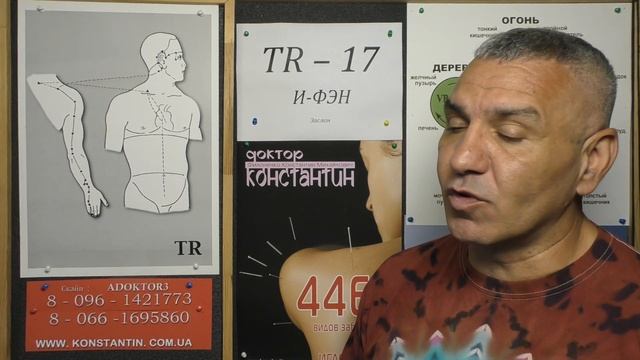 Мимические мышцы лица