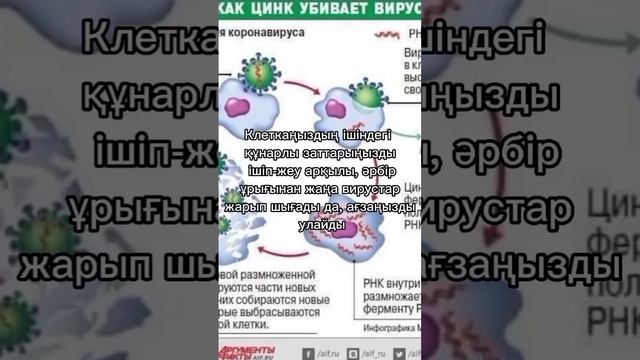 Ecfa7795917e7072fe33b5bdc0ac1bfa