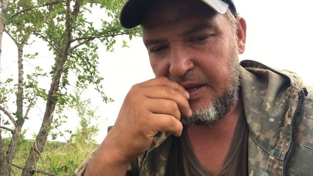 Про бои волкодавов