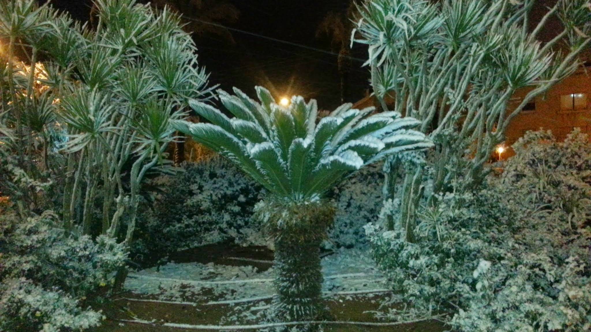 Зима в Ариэле, 2013 & 2015