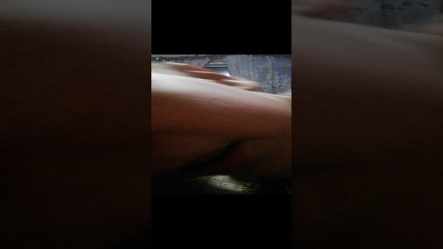 Дед мороз, новый год, подарок, гусь бин