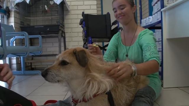 8e9d04f1080dcb01ff7c0b495f8e4d2c