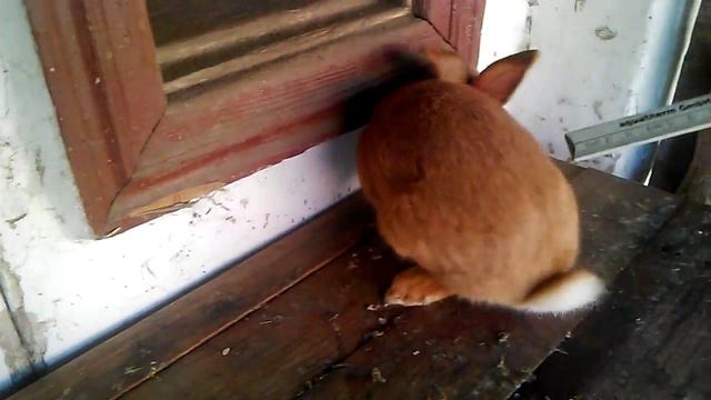 3b261e2c5cc5d99f384e698de575e34d