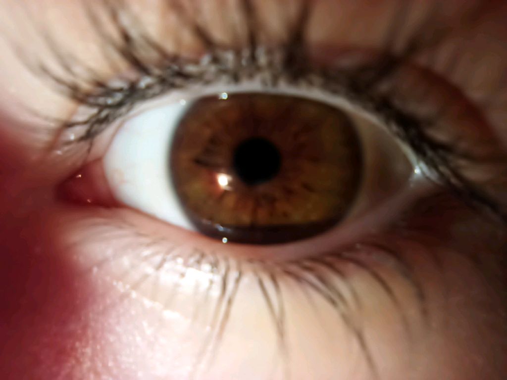 с наступающим новым годом