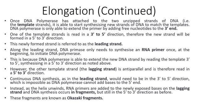DNA Replication: An Overview