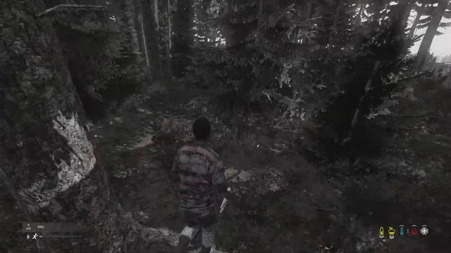 DayZ - Manhunt
