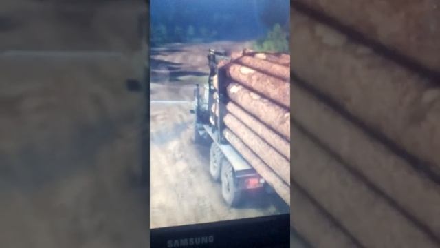 Урал 4320 везет дрова на пелораму