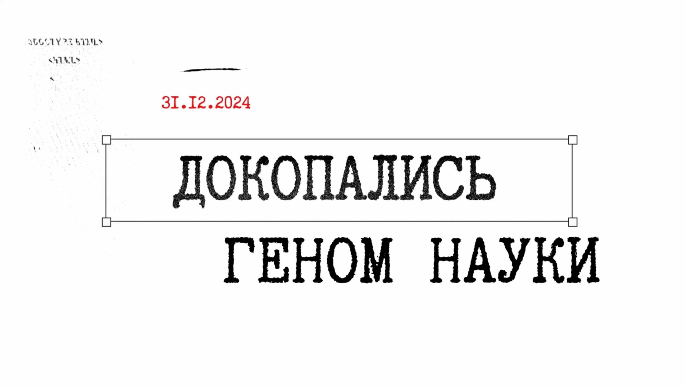 #ДОКопались №1 – новогодний выпуск 🎄