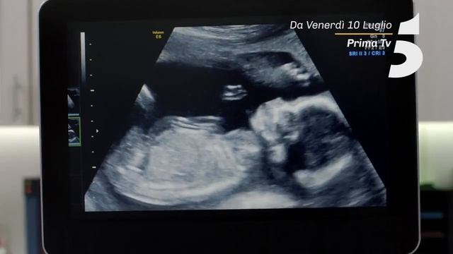 Manifest 2 - Da Venerdì 10 Luglio, In Prima Serata Su Canale 5