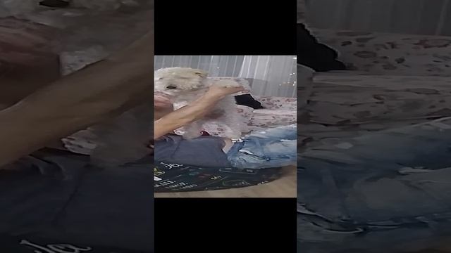 D3859d02d937cb7f03b862bedb40b7a7