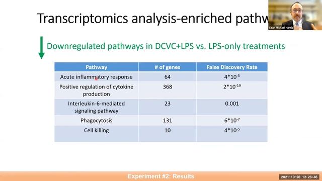 “The Trichloroethylene Metabolite S-(1,2-dichlorovinyl)-L-cysteine Suppresses Inflammatory...”