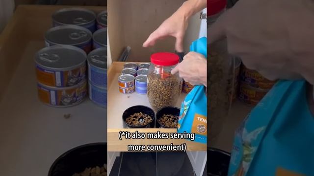 Feeding My Cats Purina One Tender Selects Dry Food