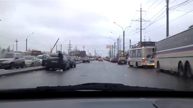 Собака под колеса.