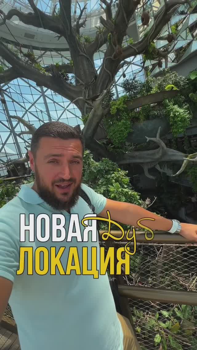 Куда сходить в Дубай? НОВИНКА! #дубай #shorts