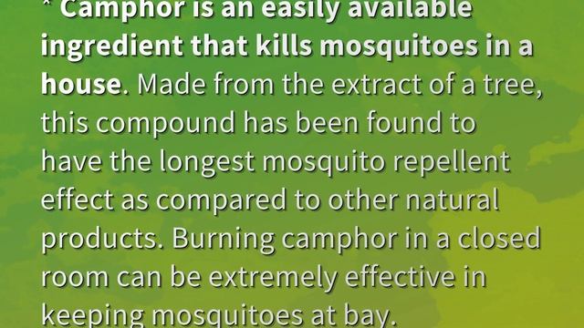Does Camphor Kill Mosquitoes?